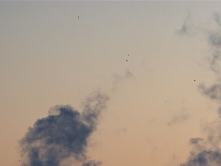 Photo taken by Ella Ivanescu, 09/01/2020.